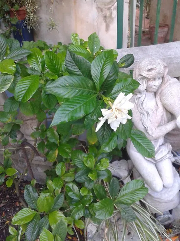 B&B Albatros Città di Lipari Italia