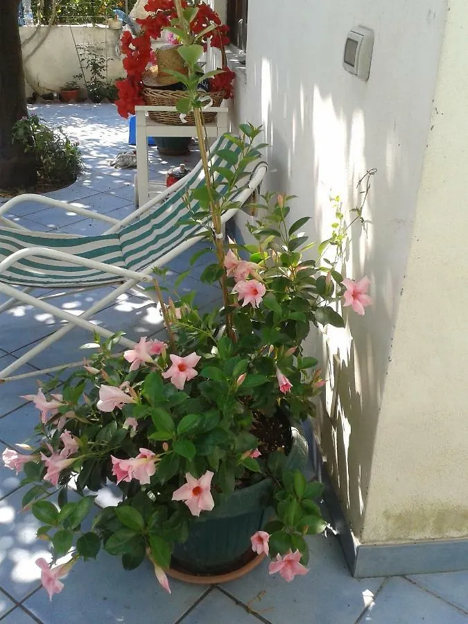 B&B Albatros Città di Lipari Bed & Breakfast