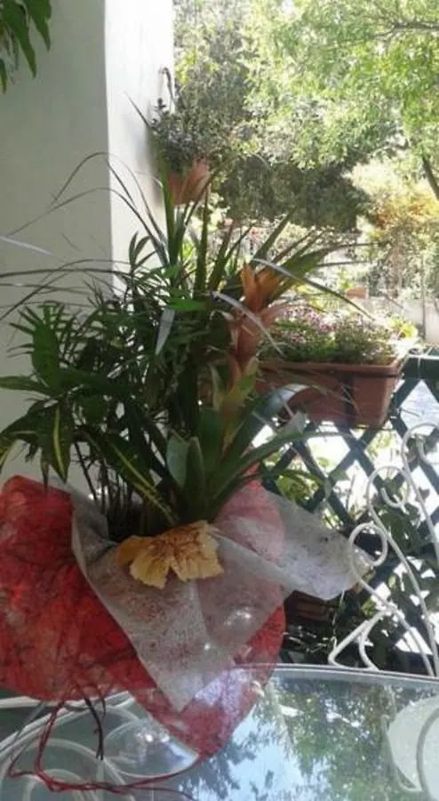 B&B Albatros Lipari  Bed & Breakfast